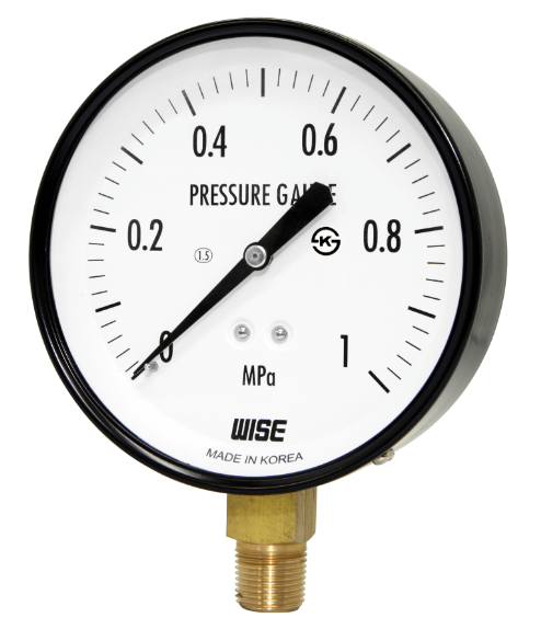 Đồng hồ áp suất WISE P110