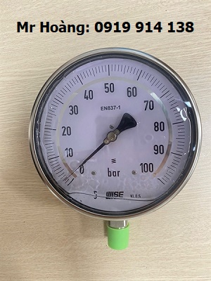 Đồng hồ áp suất thử nghiệm Wise P229