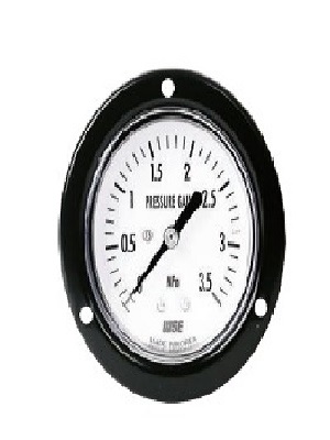 Đồng hồ áp suất Wise P112