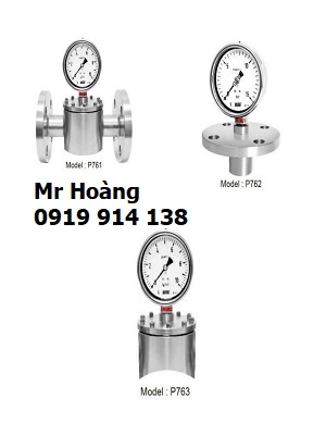 Đồng hồ áp suất màng Wise P761, P762, P763