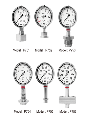 Đồng hồ áp suất dạng màng Model P750