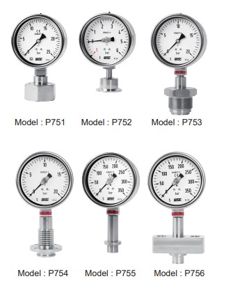 Đồng hồ áp suất dạng màng Model P750