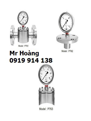 Đồng hồ áp suất màng ngăn Wise P761 - P762 - P763: Khi nào cần dùng 