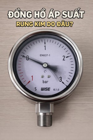 Đồng hồ áp suất bị rung kim: Nguyên nhân & cách xử lý