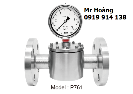 Đồng hồ áp suất có màng Wise P761