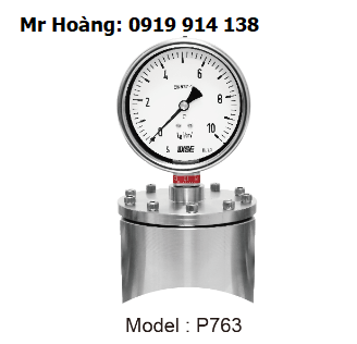 Đồng hồ áp suất màng ngăn Wise P763