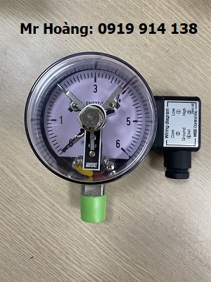 Đồng hồ áp suất tiếp điểm điện Wise P510