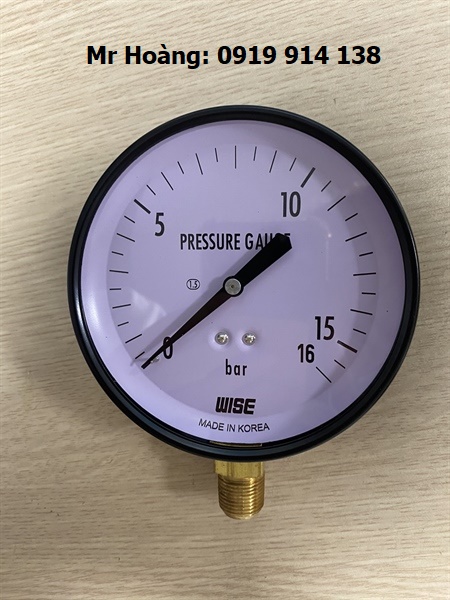 Đồng hồ áp suất Wise P110 